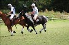 UKPA  NC Sat_1285